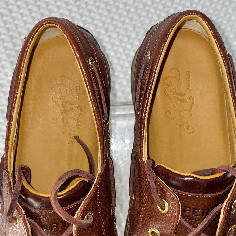 SPERRY TOP SIDERS MENS GOLD CUP ASV BOAT SHOES FTL-12-152